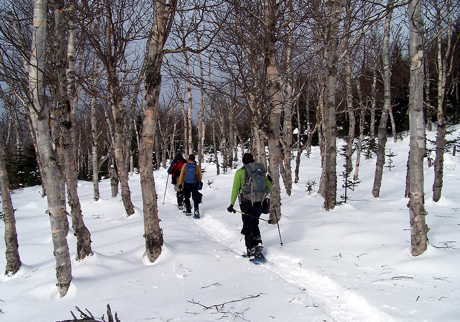 hiking in the white mountains