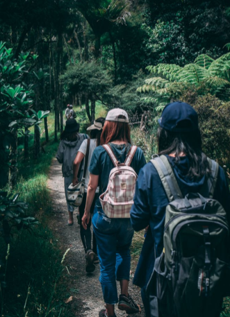 Best Hiking Pants