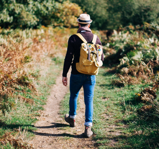 Best Hiking Pants