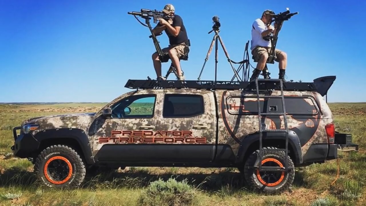 Coyote Hunting At Night