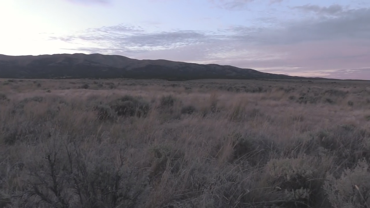 Coyote Hunting At Night