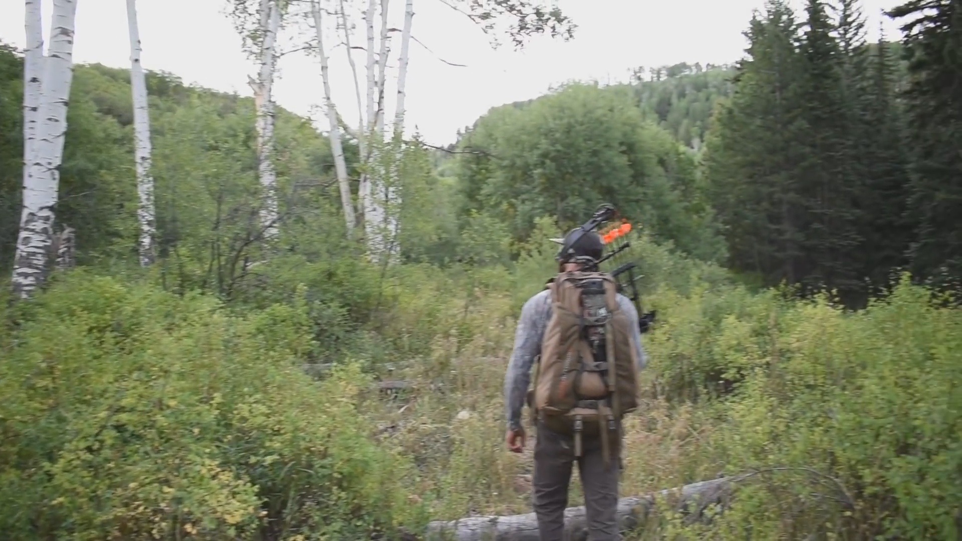 Archery Elk Hunting