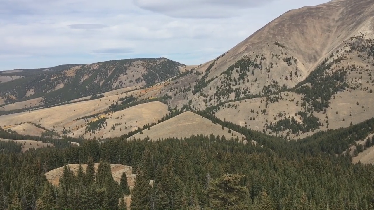 Archery Elk Hunting