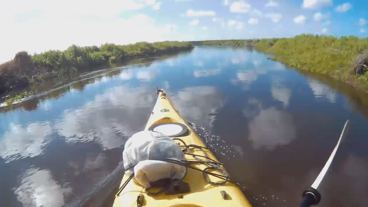 Best Places to Kayak in Florida