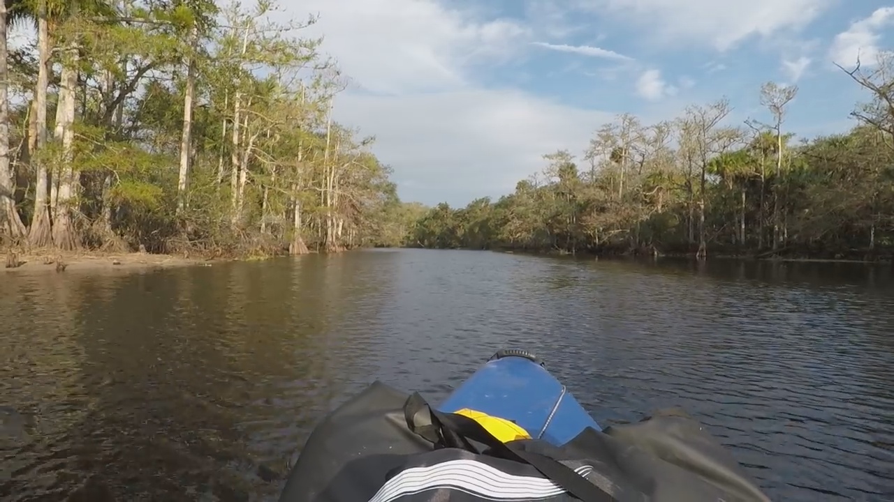 Best Places to Kayak in Florida