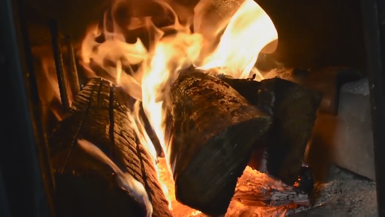 Wood Fire Temperature