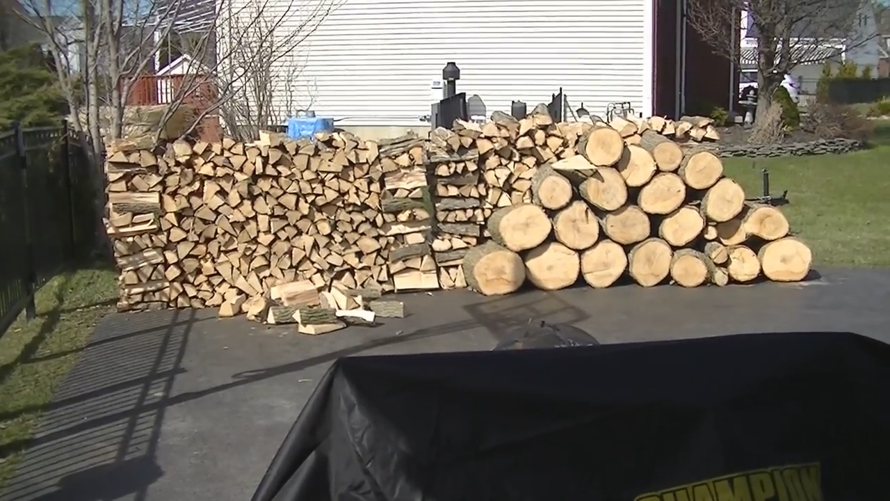 Is Ash Good Firewood Find out which Firewood is Best For You