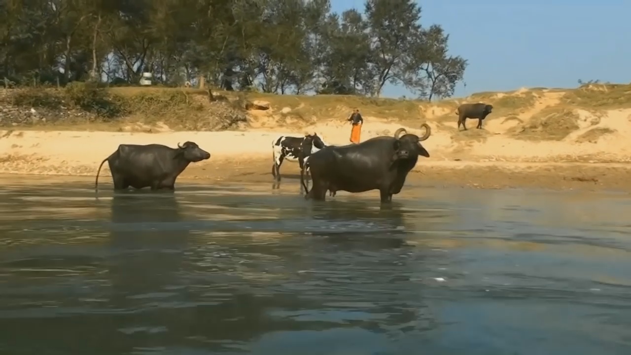 Trekking in Nepal