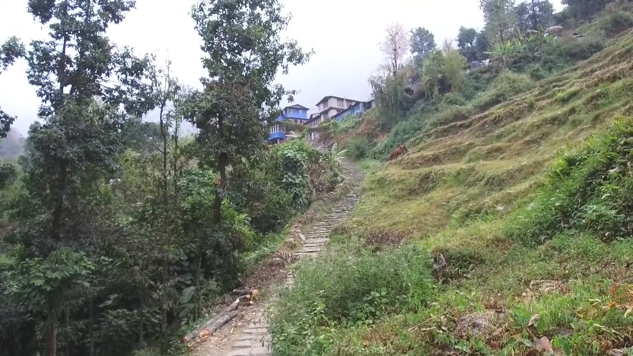 Trekking in Nepal