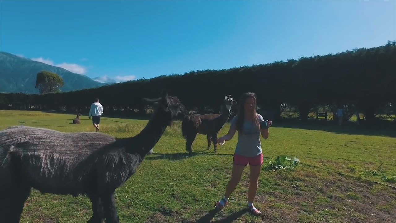 backpacking new zealand