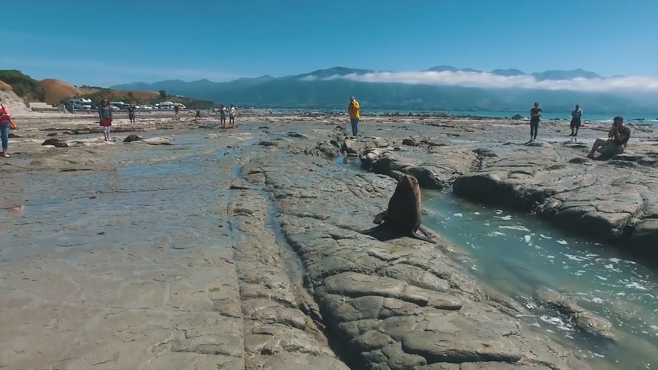 backpacking new zealand