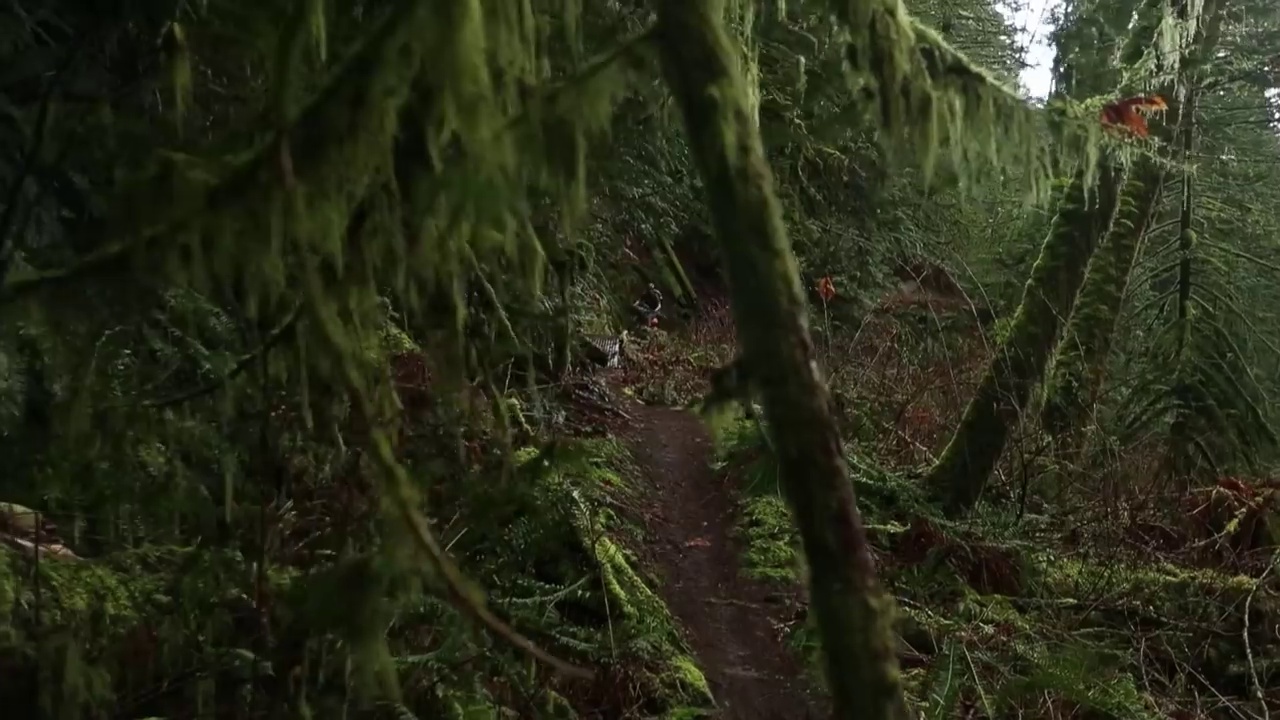 that rainwater bikepacking