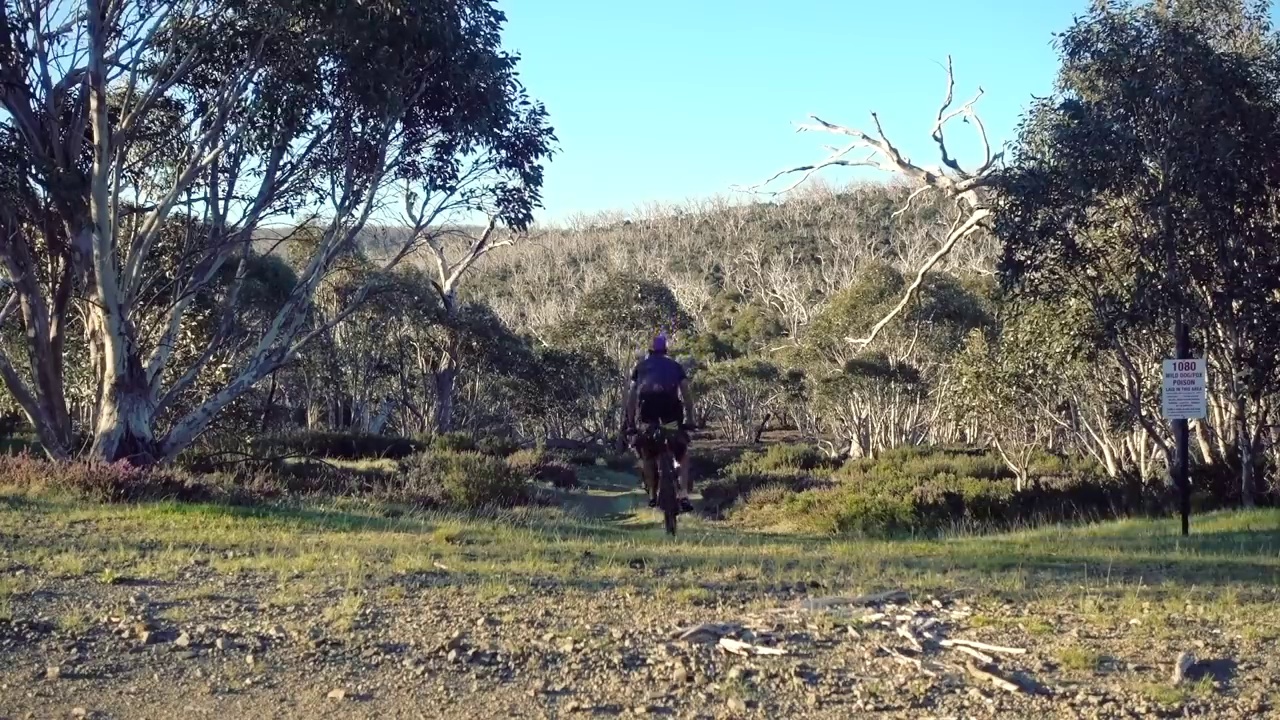 a very comfortable, upright riding position bikepacking