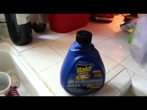 what kills cockroaches instantly